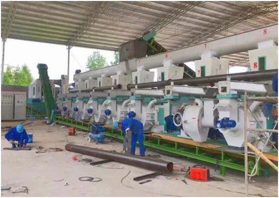 8-10 ton per hour wood pellet production line