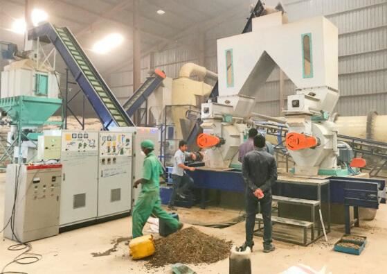 4TPH biomass pellet production line