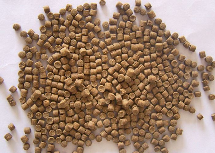 sinking fish feed